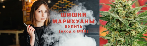 шишки Бронницы