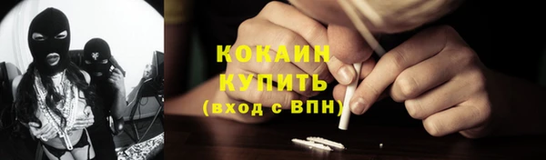 шишки Бронницы