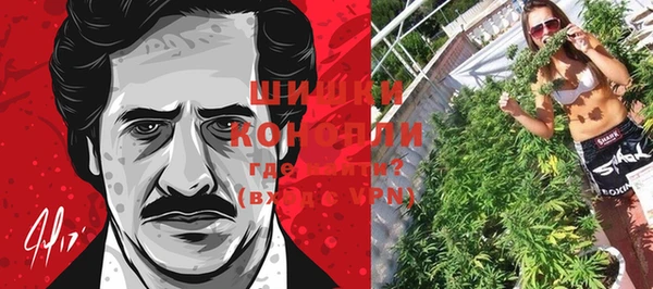 шишки Бронницы