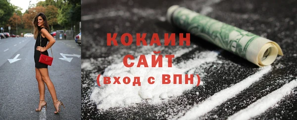 шишки Бронницы