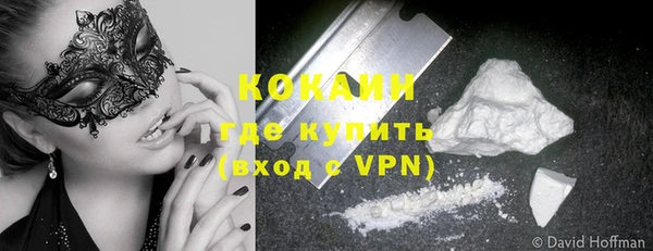 шишки Бронницы