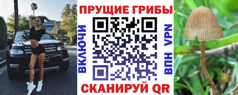 Псилоцибиновые грибы мухоморы  Купить закладки  Красноперекопск 